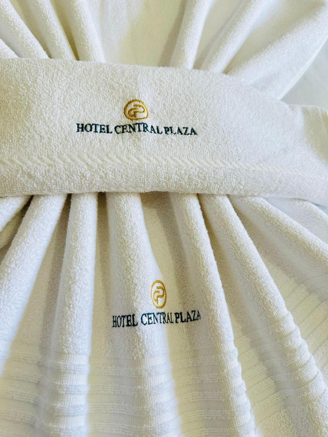 Hotel Central Plaza Timóteo المظهر الخارجي الصورة
